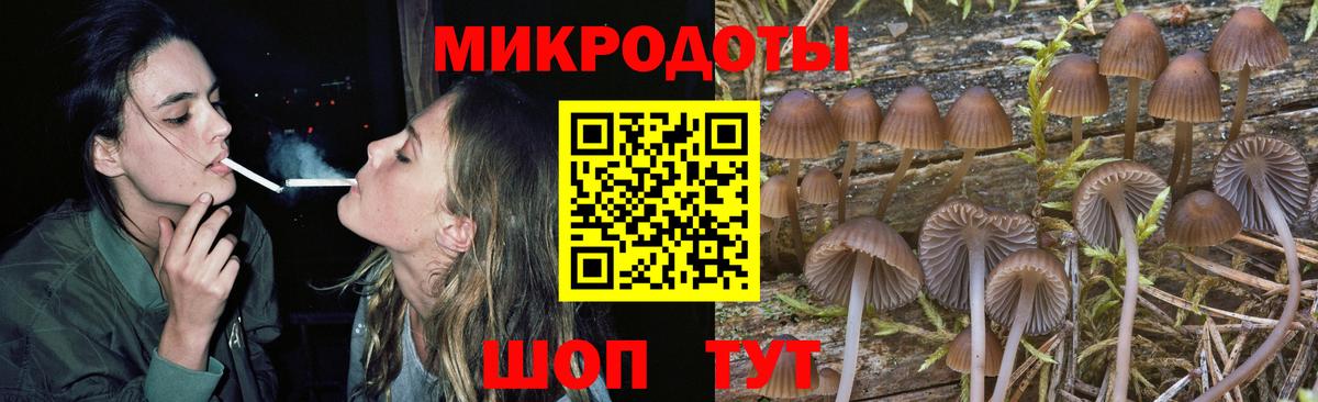 Галлюциногенные грибы Psilocybe  Вход с VPN  дарнет шоп  Торжок 